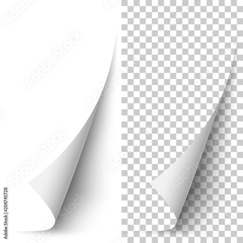 Vector white vertical paper corner rolled up