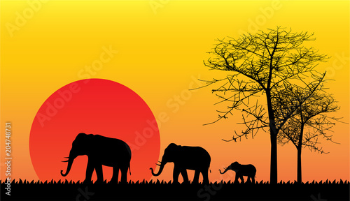Black silhouette of elephant  wild nature. Vector illustration