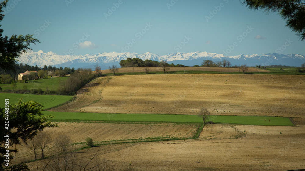 Obraz premium Paysages de l'Aude