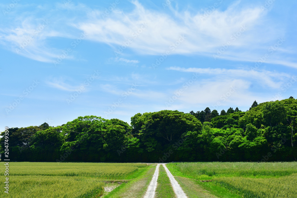 田舎の道 日本 田舎の道 日本