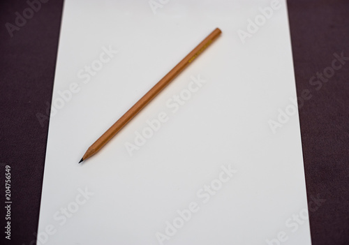Brown wooden pencil on White blank paper on table