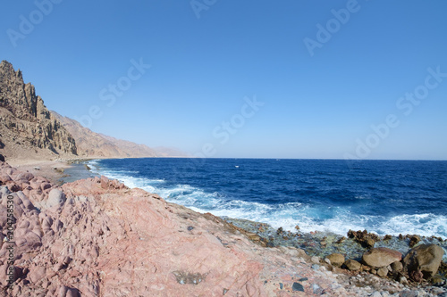 Camel track in Ras Abu Galum, Egypt, South Sinai