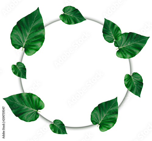 Creative layout made of leaves with paper card note.Nature concept