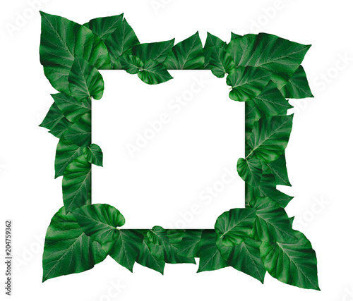 Creative layout made of leaves with paper card note.Nature concept