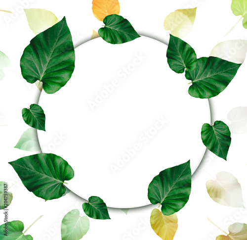 Creative layout made of leaves with paper card note.Nature concept