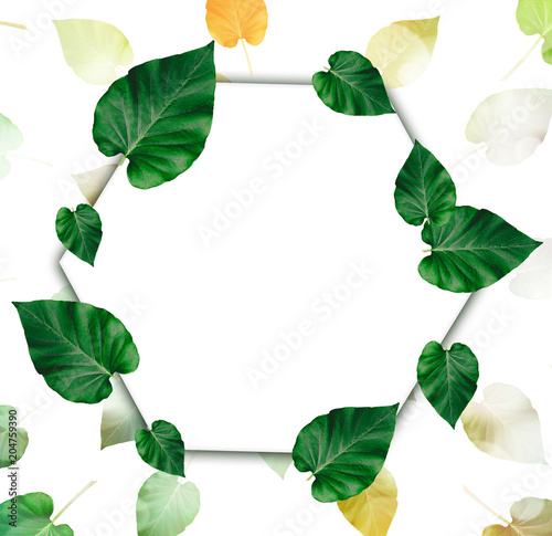 Creative layout made of leaves with paper card note.Nature concept