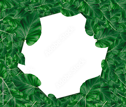Creative layout made of leaves with paper card note.Nature concept