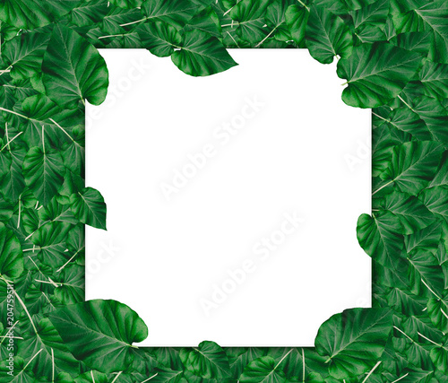 Creative layout made of leaves with paper card note.Nature concept