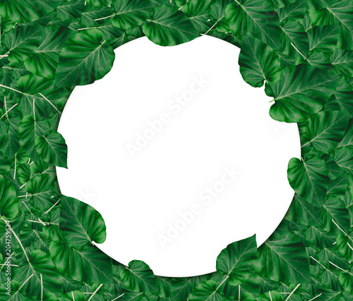 Creative layout made of leaves with paper card note.Nature concept