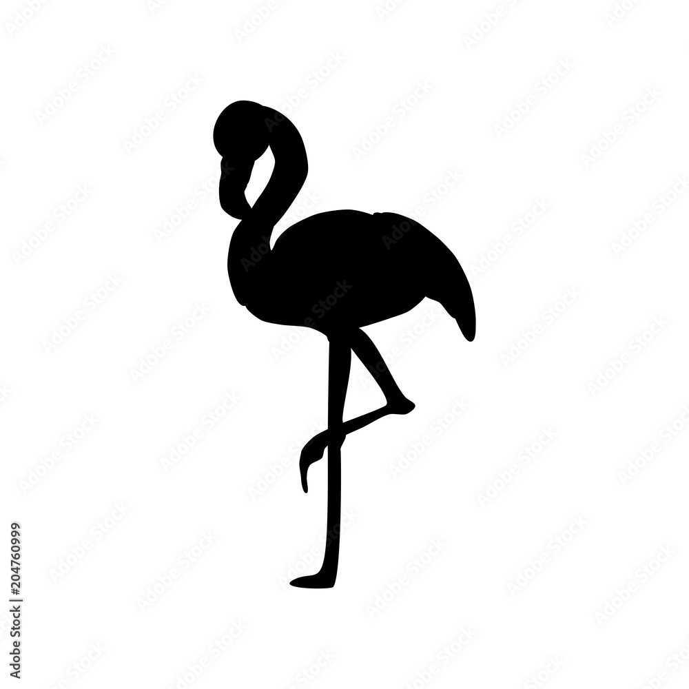 Flamingo bird illustration silhouette