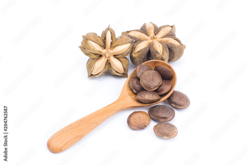 Plukenetia volubilis or sacha inchi peanut seed in wooden spoon isolated on white background