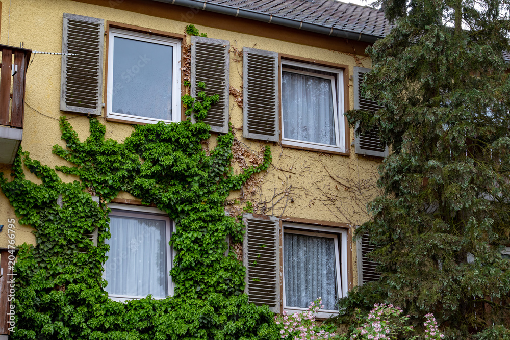Facade of a old house with windows wooden shutters and ivy on the wall 