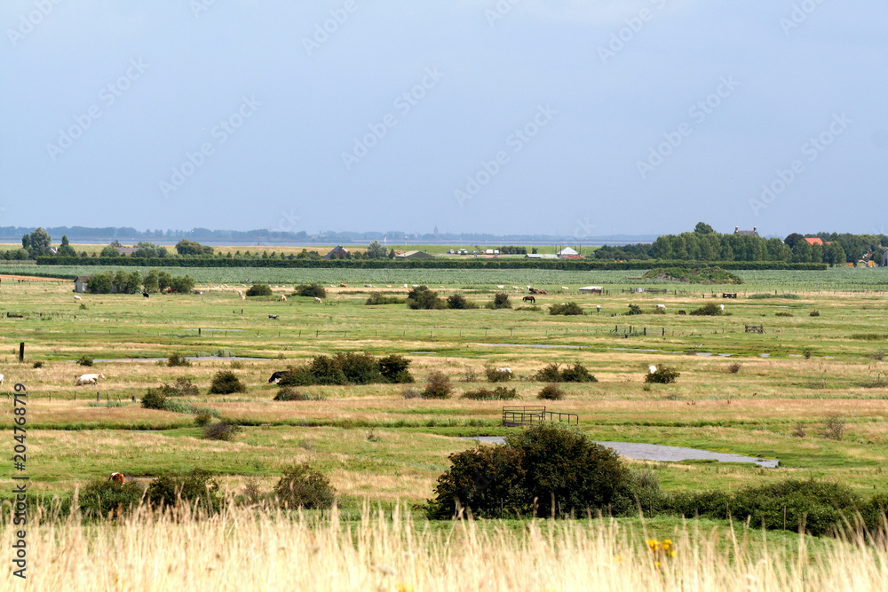 Rural surroundings of Wemeldinge