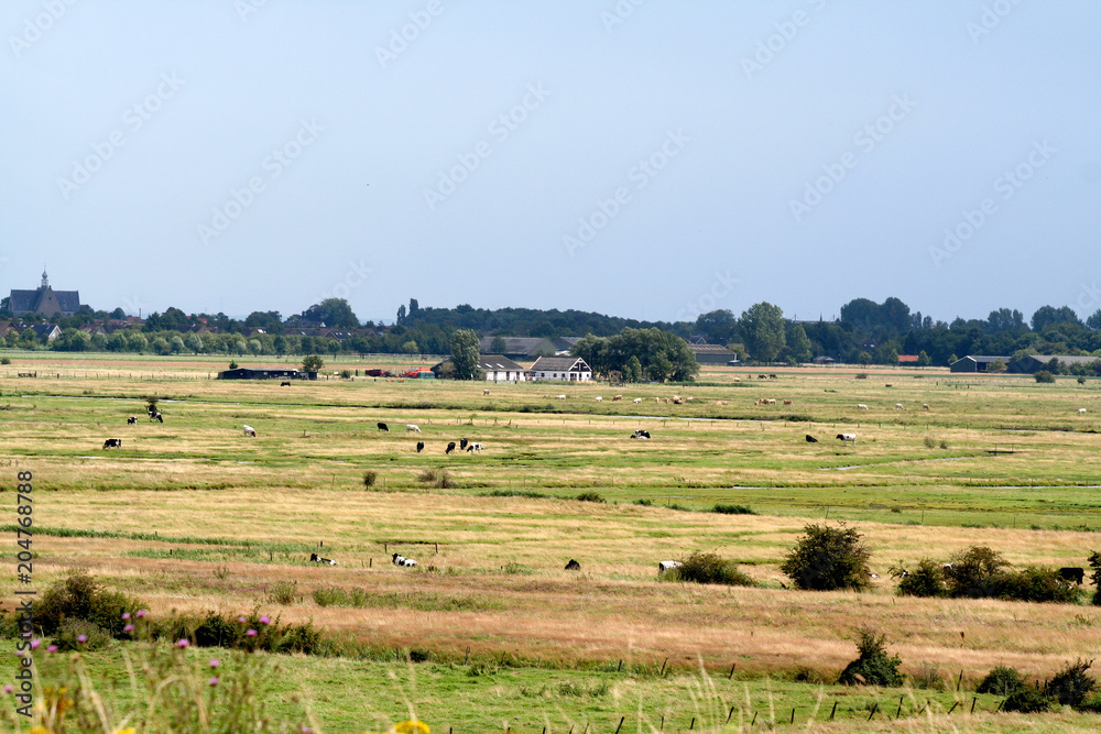 Rural surroundings of Wemeldinge