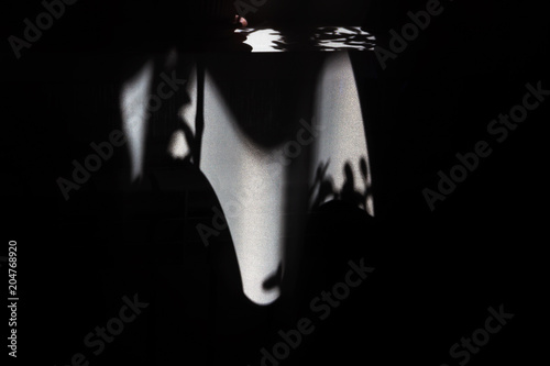 Tableau sur toile Unusual and original black and white pattern on the curtain.