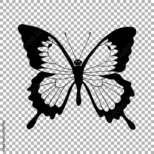 Vector silhouette of butterfly monarch. Transparent hand drawn illustration