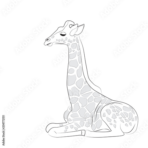 Black and white isolated giraffe vector illustration
