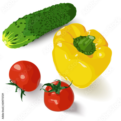 Vector isolated set of two fresh red tomatoes, cucumber and yellow bell pepper on white background