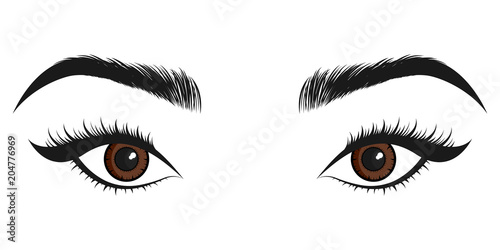 Beautiful brown eyes. Vector illustration photo