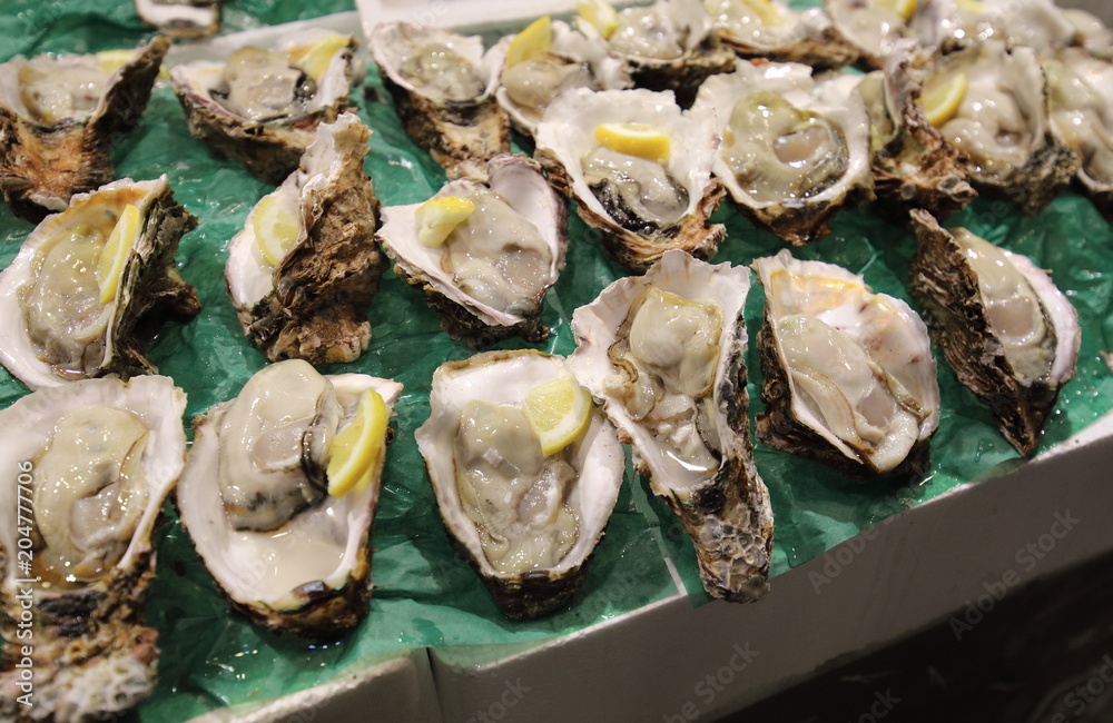 Japanese seafood oyster display at seafood market Japanese seafood oyster display at seafood market