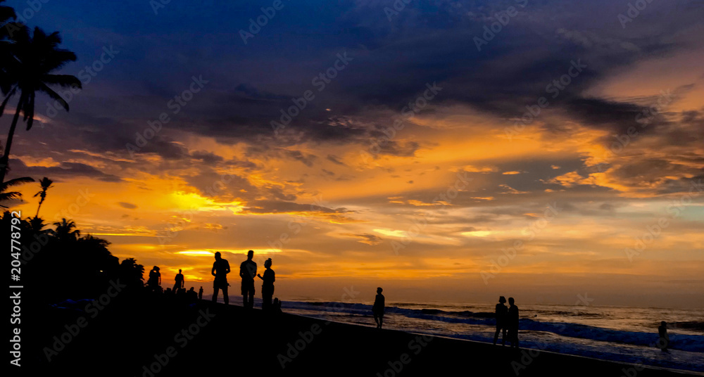 Palomino Sunset Palomino Sunset