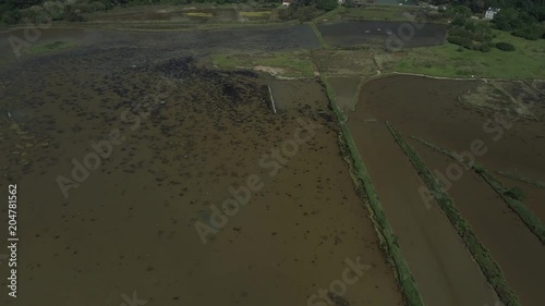 Drone en Bretagne. 4k - Survol et travelling. Marais. Réserve naturelle. Oiseaux. Aerial view. Vue aérienne
