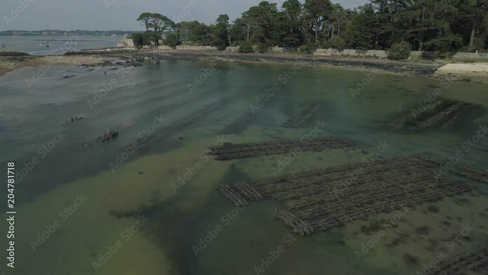 Drone en Bretagne. 4k - Survol et travelling. Oister farm. Parc à huître. Marée basse.
