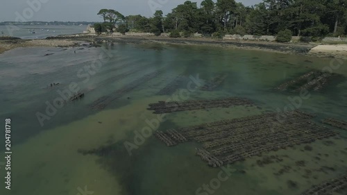 Drone en Bretagne. 4k - Survol et travelling. Oister farm. Parc à huître. Marée basse.