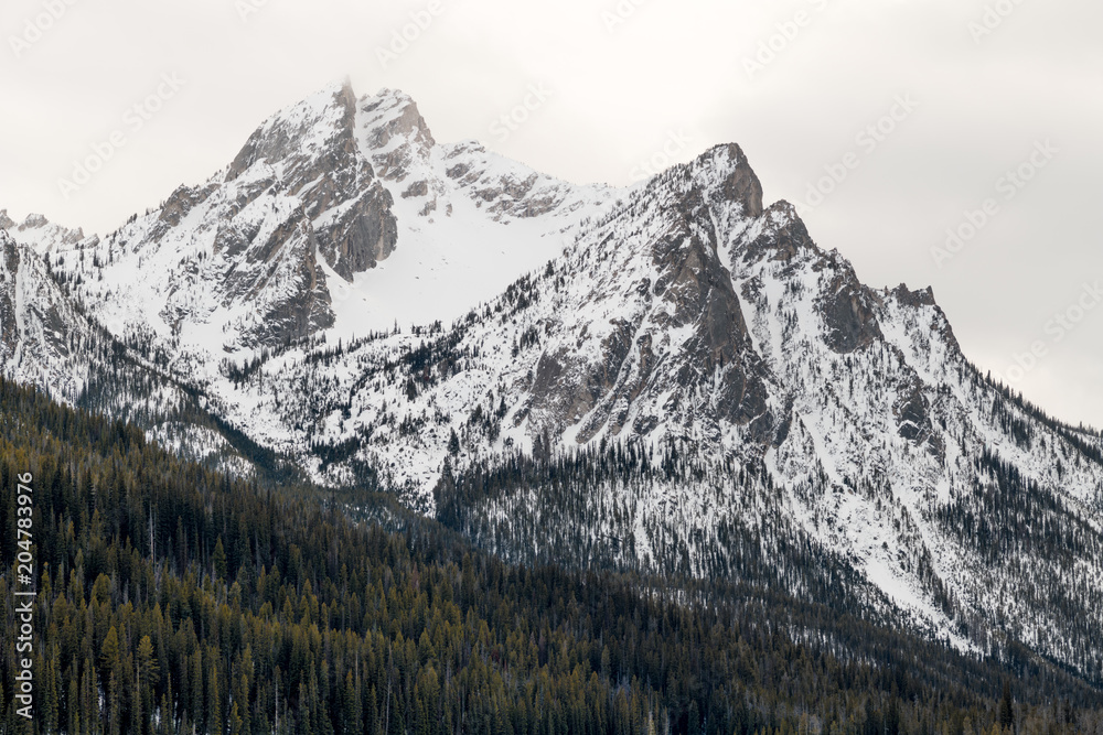Magnificent mount peak in Idaho with snow and a forest
