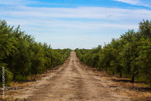 Alentejo