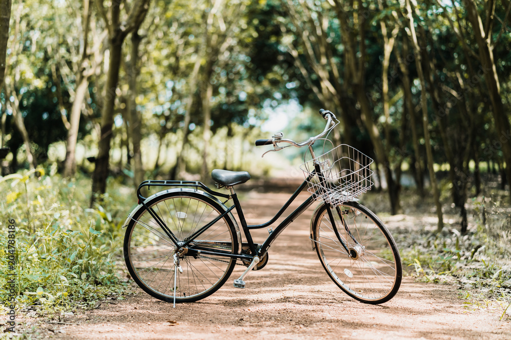old vintage bicycle with forest background