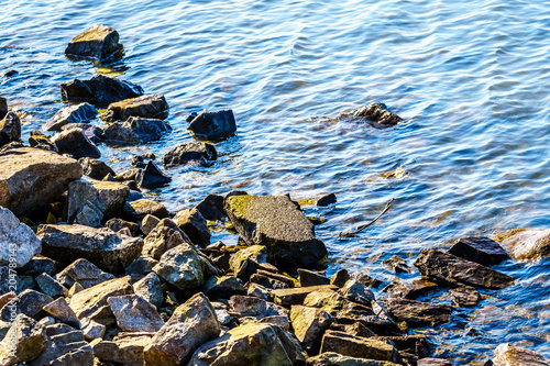 Rocks on the shoreline of the Matsqui Dyke along the Fraser River between the towns of Abbotsford and Mission in British Columbia, Canada photo