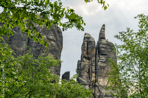 Brosinnadel in der sächsischen Schweiz photo