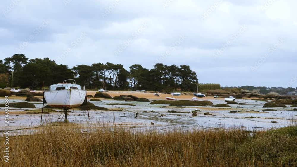 Yachts and boats during ocean low tide Yachts and boats during ocean low tide