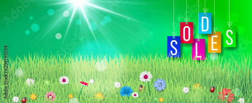 Soldes sticks. Fond graphique SOLDES avec signe de pourcentage dans le parc vert.