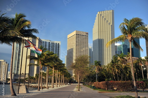 Florida. Miami. Beautiful high-rise buildings on the shore in a bright sunny day photo