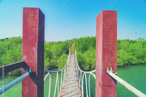 Wooden walking bridge in ma...