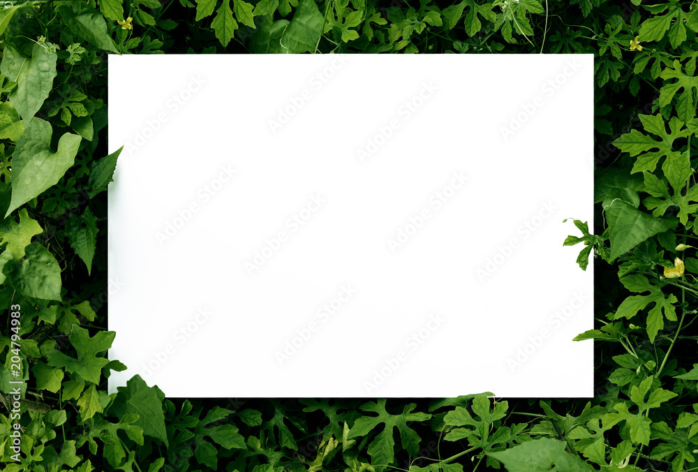 Mock up paper white card on a green leaves. Creative layout with nature concept.