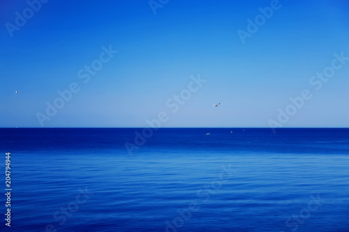Море синее камни чайки