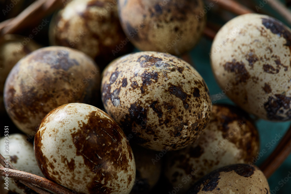 Conceptual still-life with quail eggs in hay nest over blue textured background, close up, selective focus Conceptual still-life with quail eggs in hay nest over blue textured background, close up, selective focus