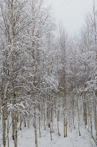 Winter in Russia, 2013