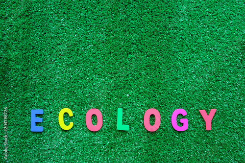 ECOLOGY wooden word on the ...
