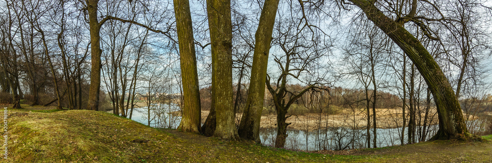 panoramic view of the river from the hill through the trees in the city park panoramic view of the river from the hill through the trees in the city park