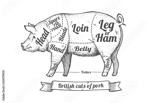 Cuts of pork