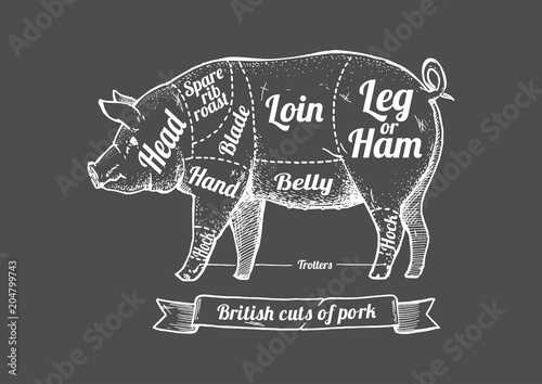 Cuts of pork