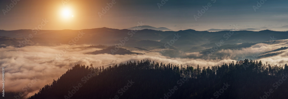 A sunny morning in the Carpathian mountains. Ukraine