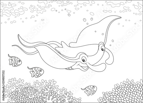 Big manta ray and small but...