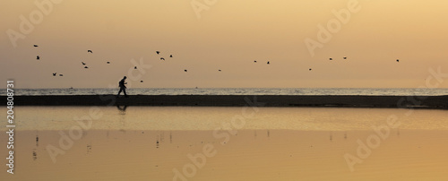 Beautiful silhouette of man and birds at California coast