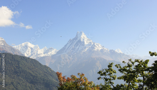 Machapuchare Mountain with snow on the way to Poon Hill in Nepal. Trek hiking adventure views photo