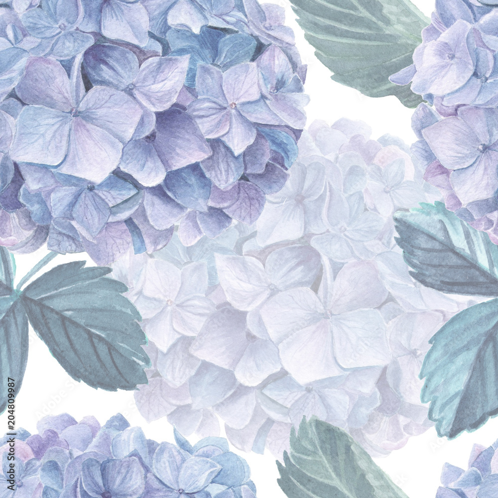 Hydrangea Photos, Download The BEST Free Hydrangea Stock Photos & HD Images